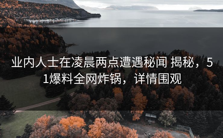 业内人士在凌晨两点遭遇秘闻 揭秘，51爆料全网炸锅，详情围观